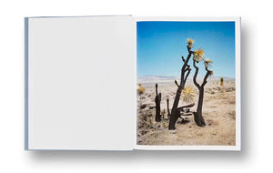 ZZYZX · Gregory Halpern