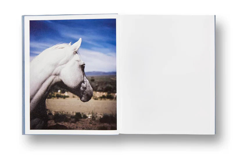 ZZYZX · Gregory Halpern