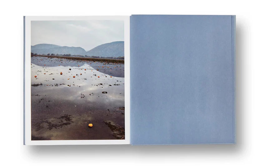 ZZYZX · Gregory Halpern