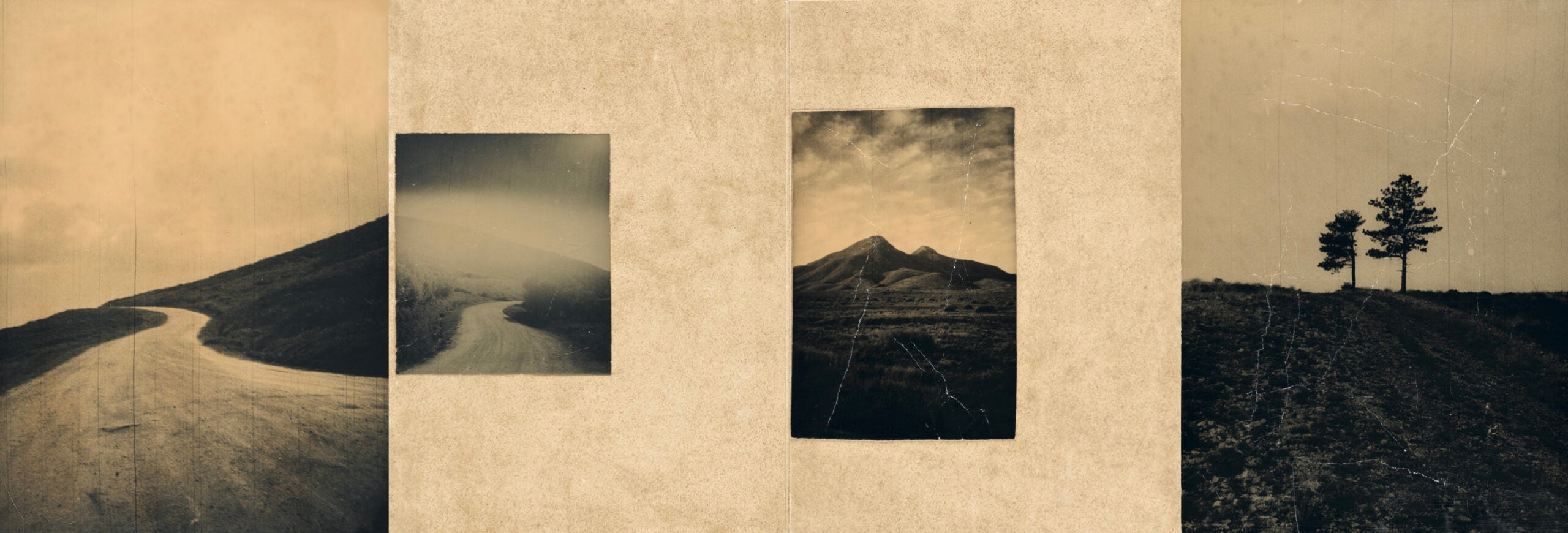 EL VUELO LLEVA AL VUELO · Juanan Requena