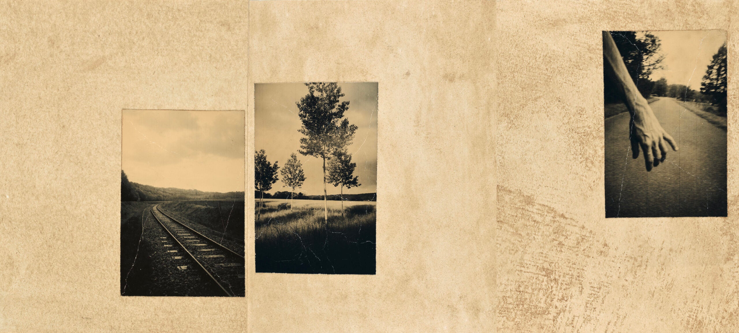 EL VUELO LLEVA AL VUELO · Juanan Requena