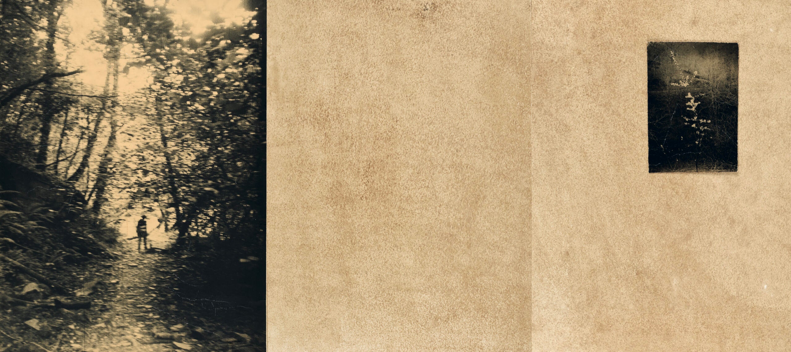 EL VUELO LLEVA AL VUELO · Juanan Requena