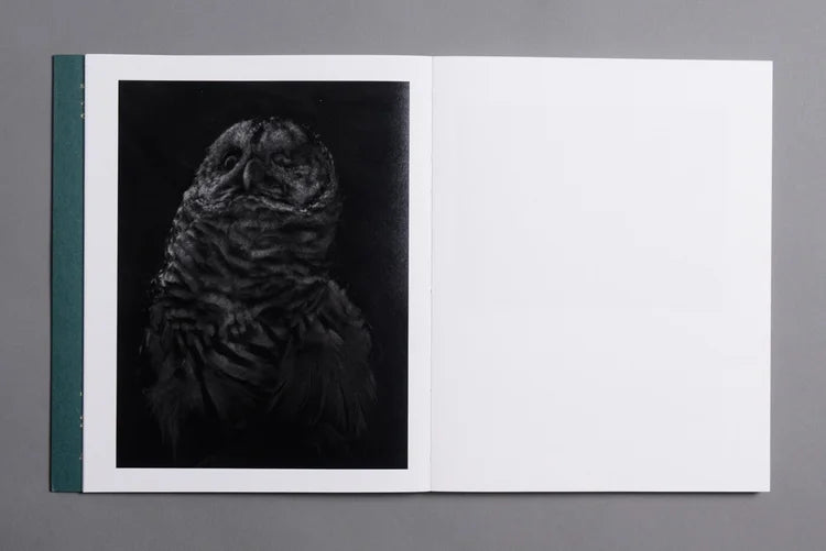 SLEEP CREEK · Hausthor & Guilmoth