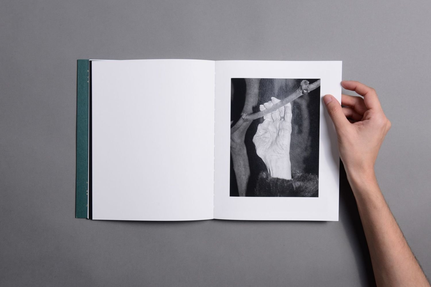 SLEEP CREEK · Hausthor & Guilmoth