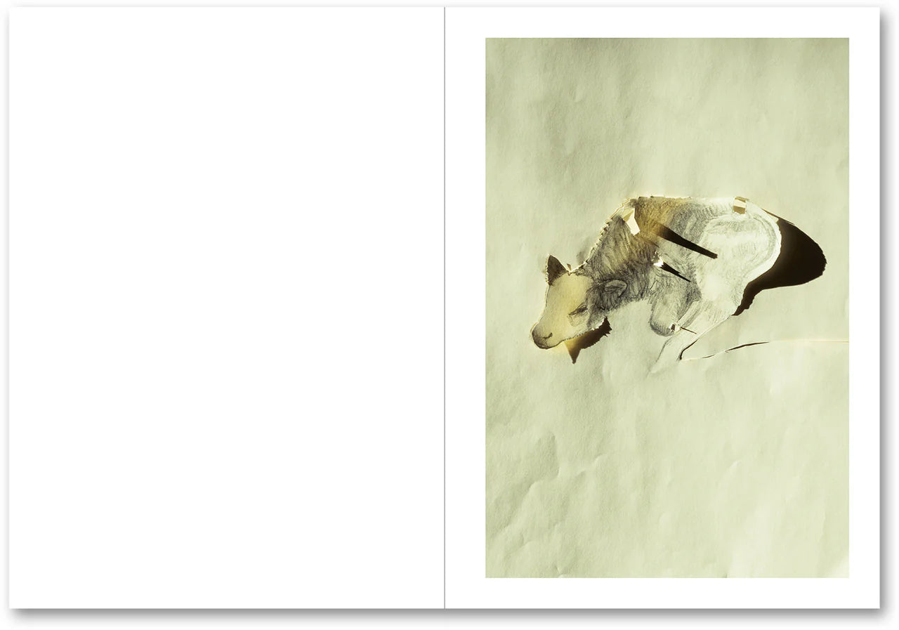 LA CASA ISLA · Anne Golaz