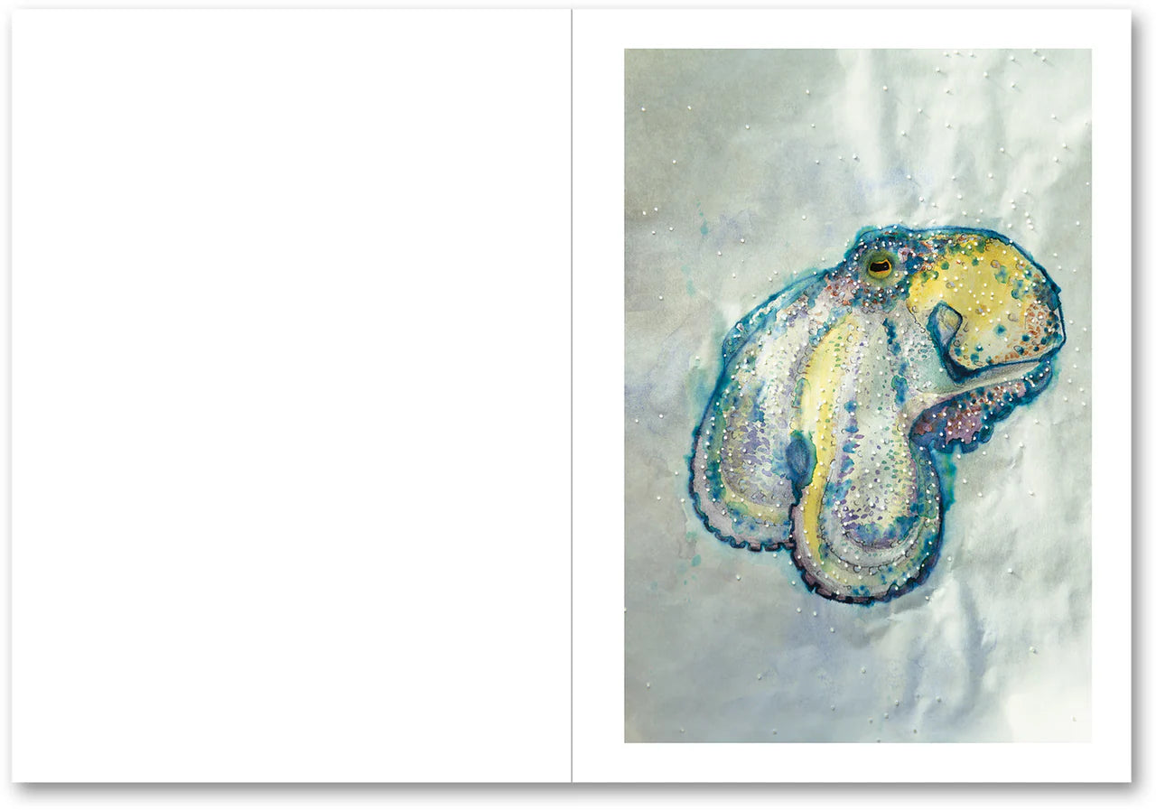 LA CASA ISLA · Anne Golaz