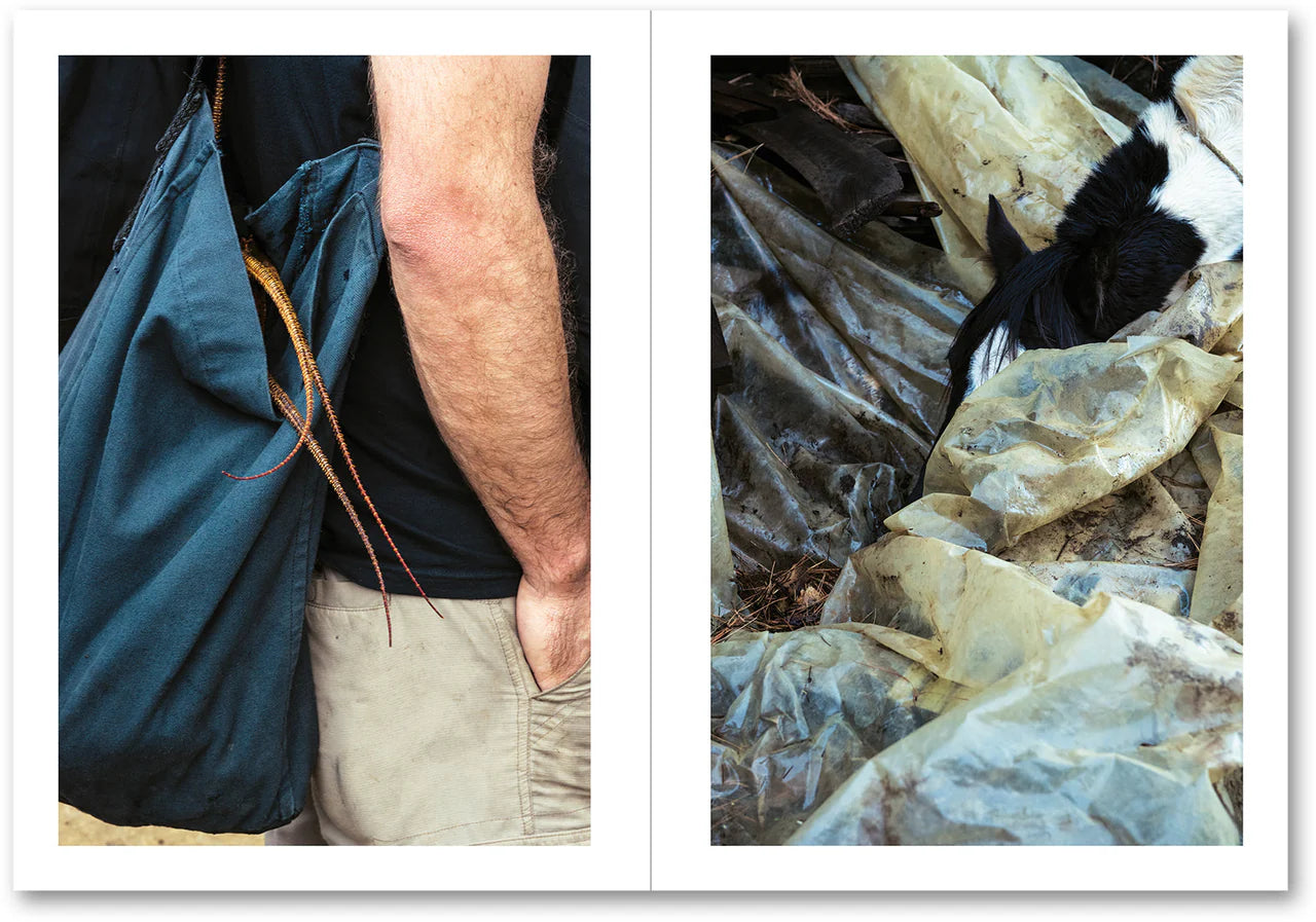 LA CASA ISLA · Anne Golaz