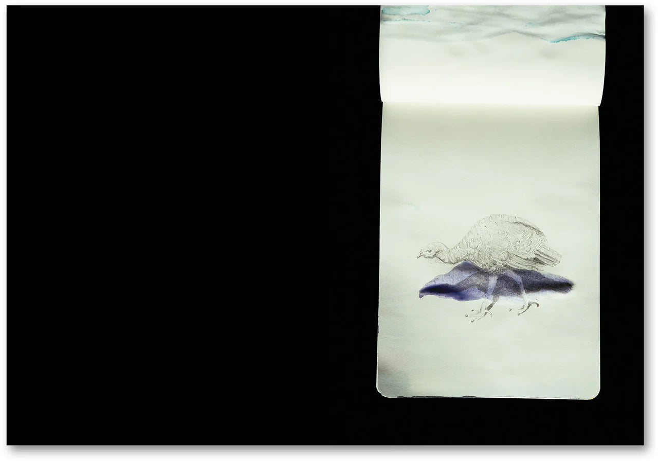 LA CASA ISLA · Anne Golaz