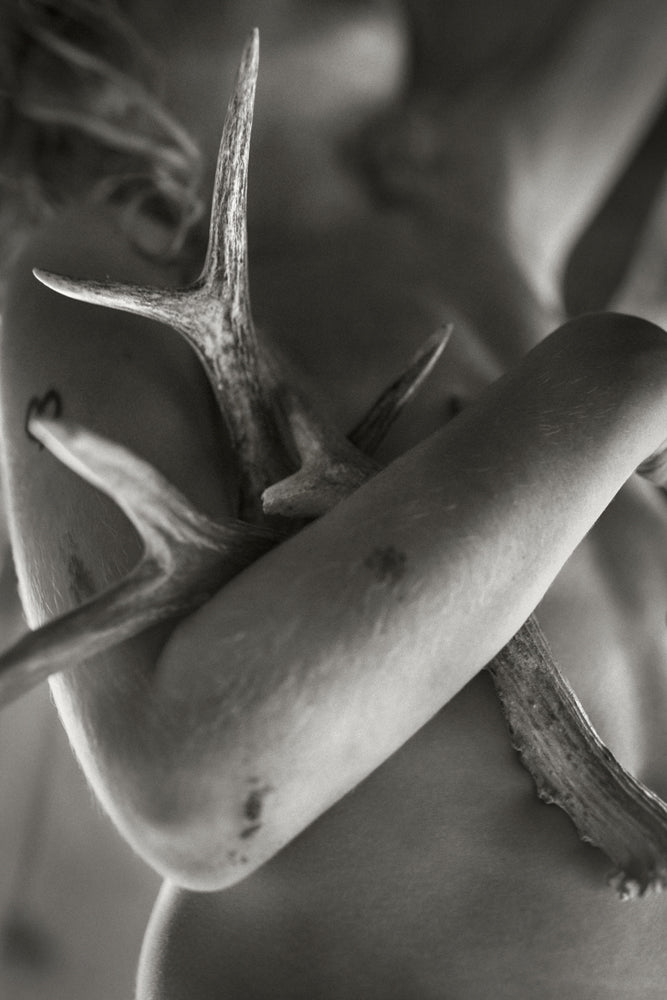 SUMMER OF THE FAWN · Alain Laboile