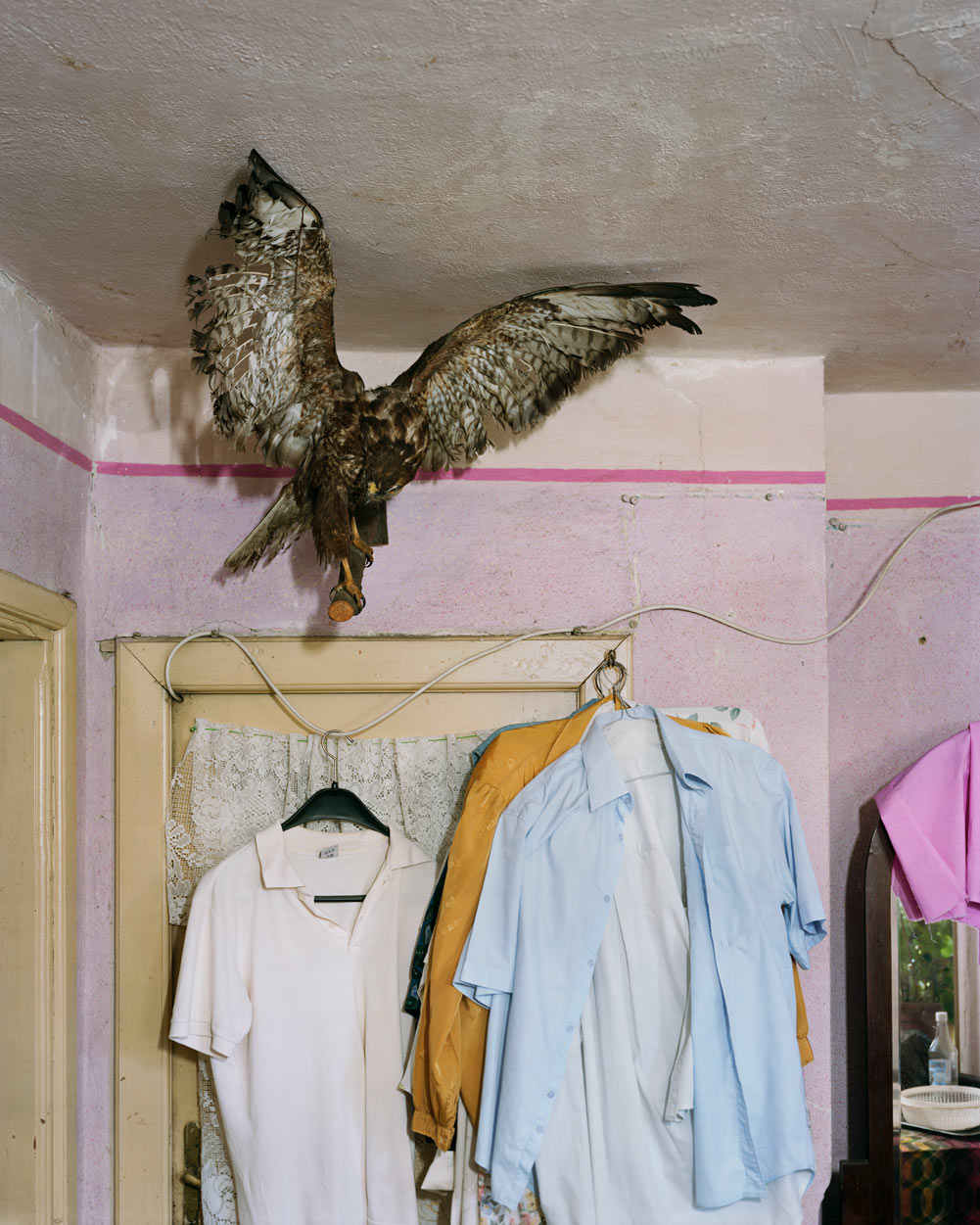 I KNOW HOW FURIOUSLY YOUR HEART IS BEATING · Alec Soth