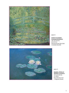 ¿DÓNDE ESTÁ LA RANITA? · Claude Monet