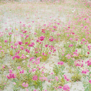 UTATANE · Rinko Kawauchi